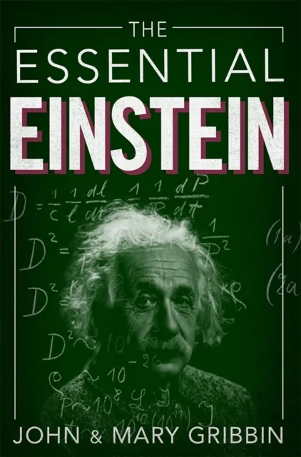 Essential Einstein