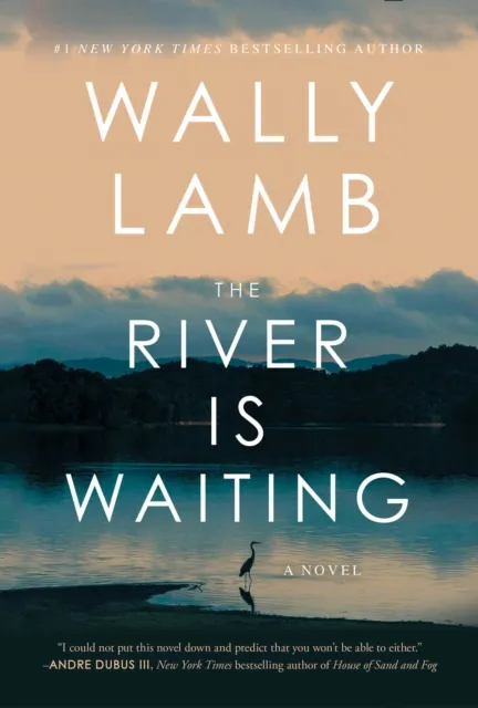River Is Waiting (Oprah's Book Club)