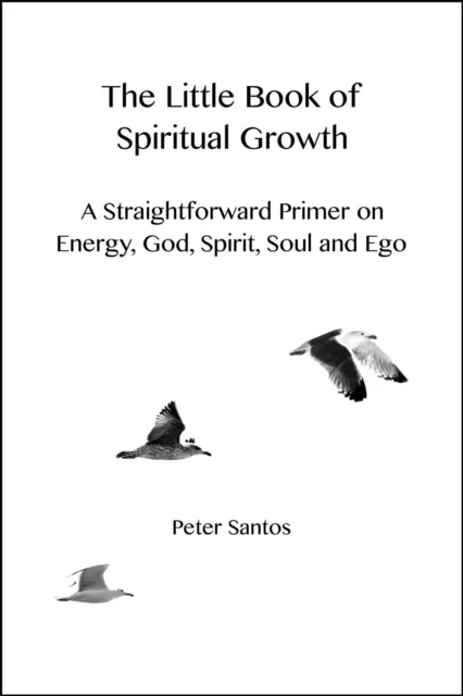 Little Book of Spiritual Growth