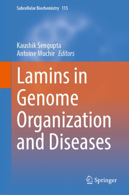 Lamins in Genome Organization and Diseases