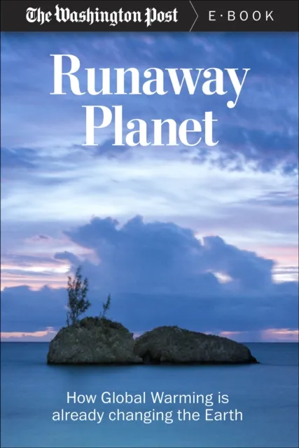 Runaway Planet