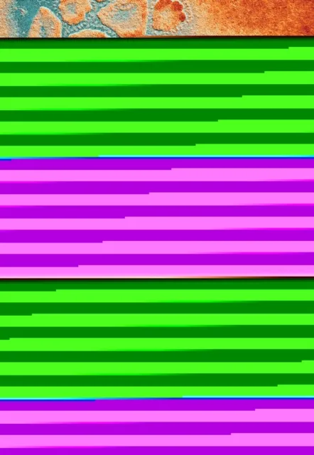 LANGE Pathology Flash Cards, Fourth Edition