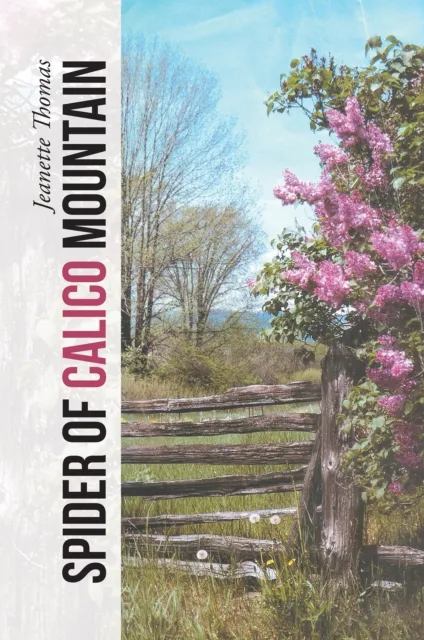 Spider of Calico Mountain