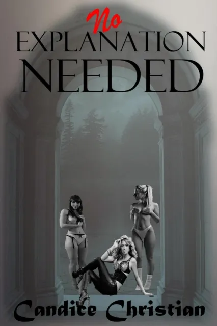 No Explanation Needed