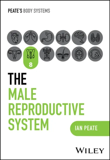 Male Reproductive System