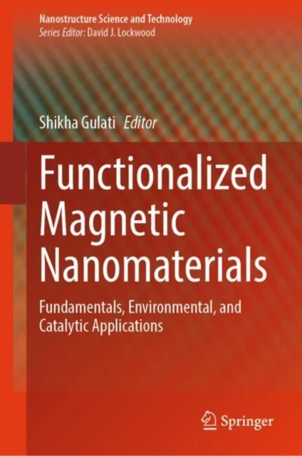 Functionalized Magnetic Nanomaterials