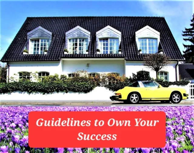 Guidelines to Own Your Success