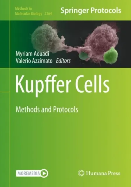 Kupffer Cells