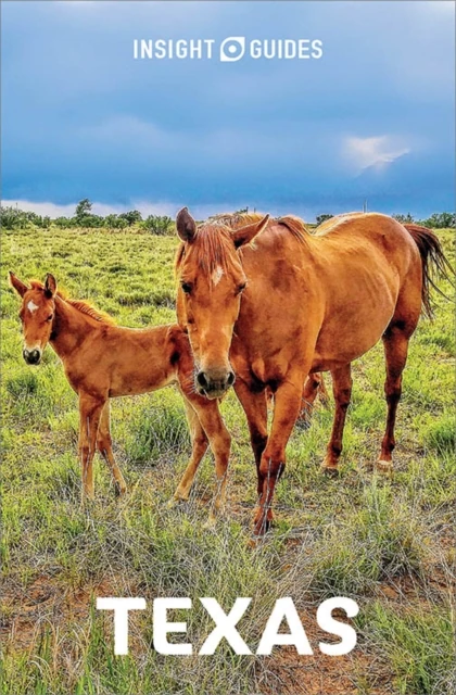 Insight Guides Texas: Travel Guide eBook