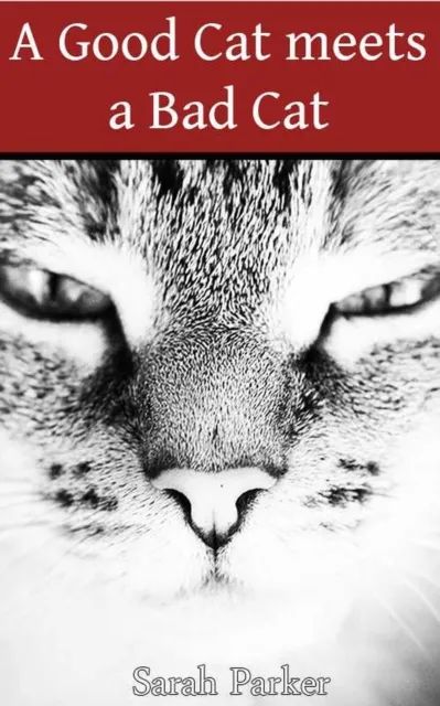 Good Cat meets a Bad Cat