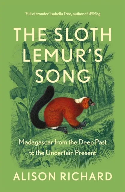 Sloth Lemur's Song