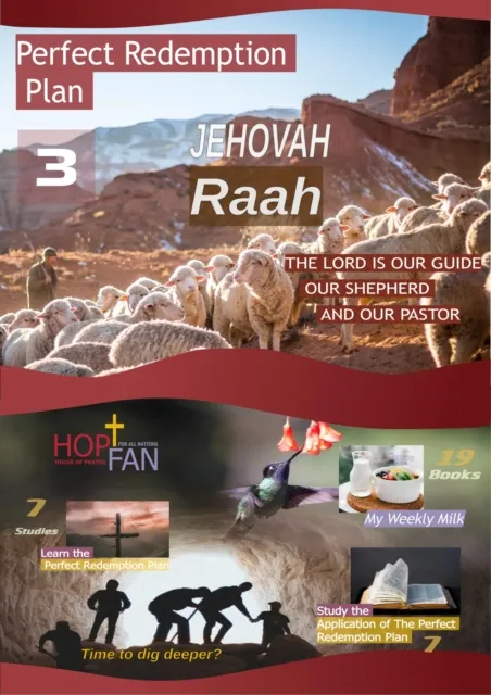 Perfect Redemption Plan 3