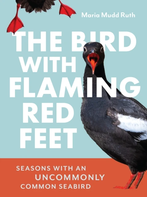 Bird with Flaming Red Feet