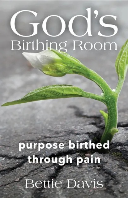 God's Birthing Room