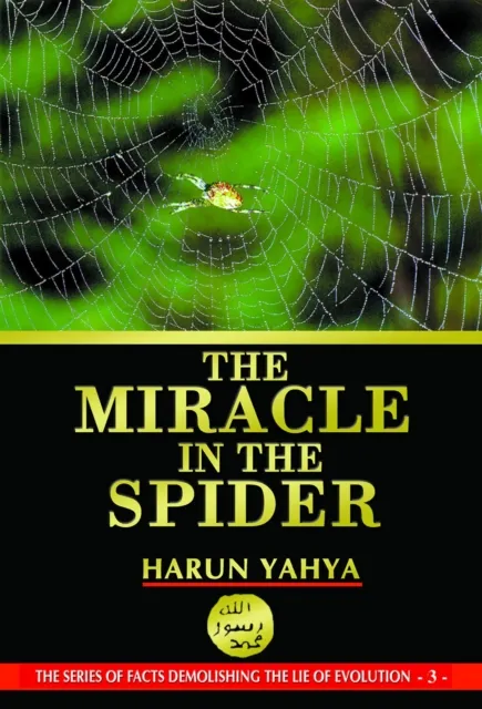 Miracle in the Spider