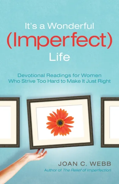 It's a Wonderful (Imperfect) Life