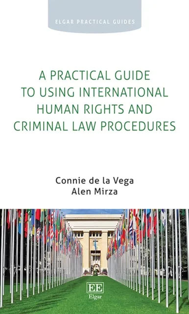 Practical Guide to Using International Human Rights and Criminal Law Procedures