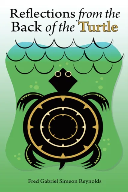 Reflections from the Back of the Turtle