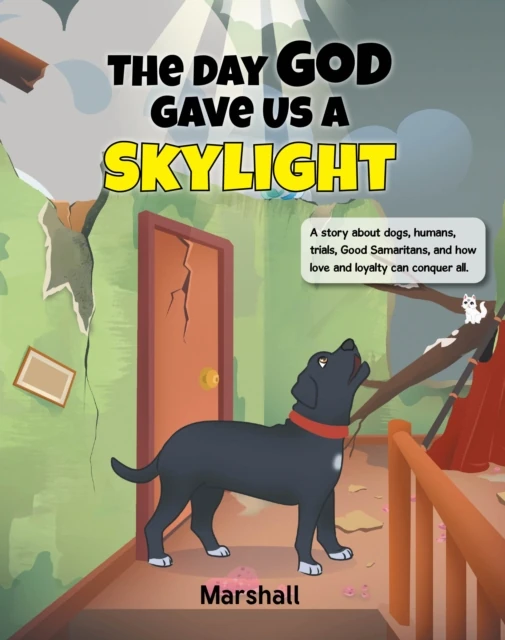 Day God Gave Us A Skylight