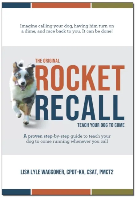 Original Rocket Recall