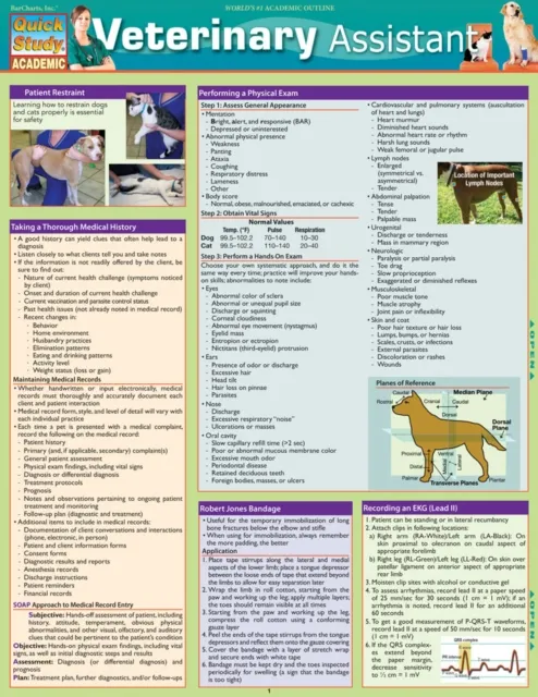 Veterinary Assistant