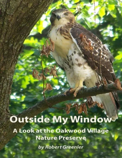 Outside  My Window: A Look At the Oakwood Village Nature Preserve