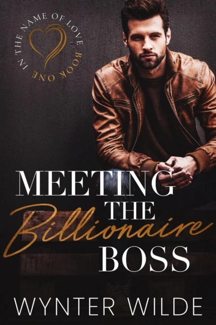 Meeting the Billionaire Boss