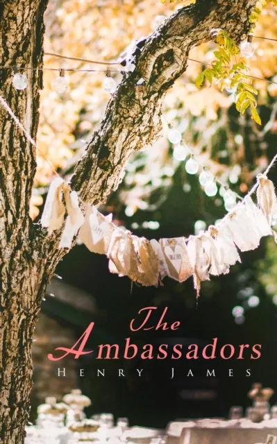 Ambassadors
