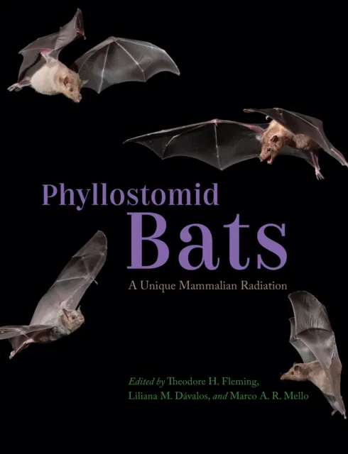 Phyllostomid Bats