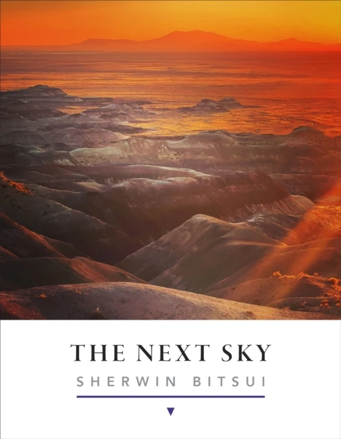 Next Sky