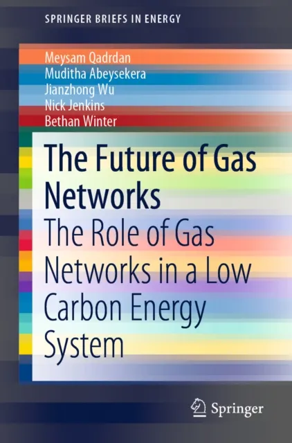 Future of Gas Networks