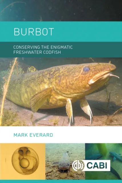 Burbot