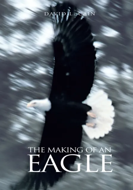 Making of an Eagle