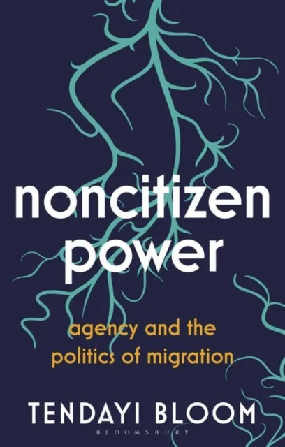 Noncitizen Power