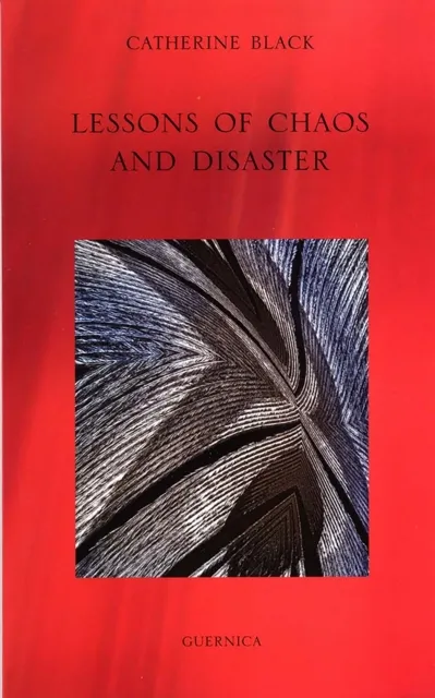 Lessons of Chaos and Disaster