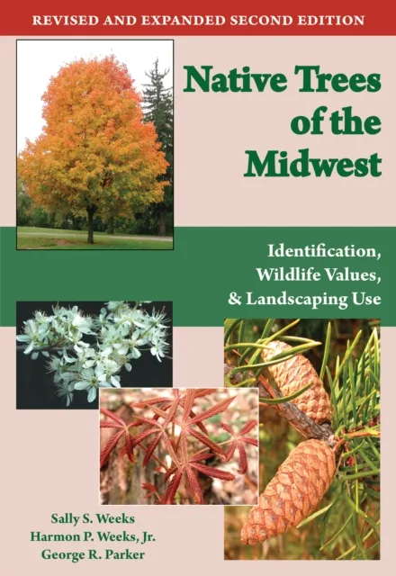 Native Trees of the Midwest
