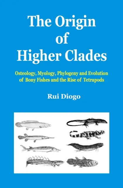 Origin of Higher Clades