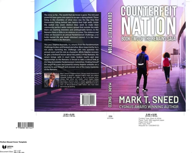 Counterfeit Nation