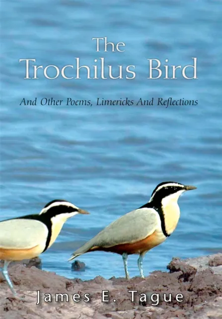Trochilus Bird