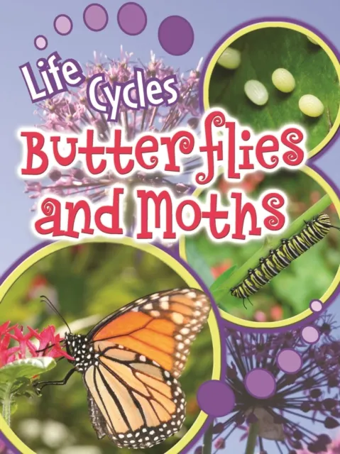 Butterflies and Moths