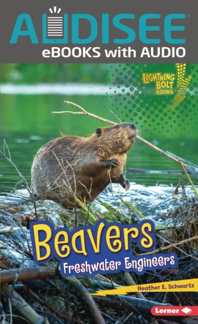 Beavers
