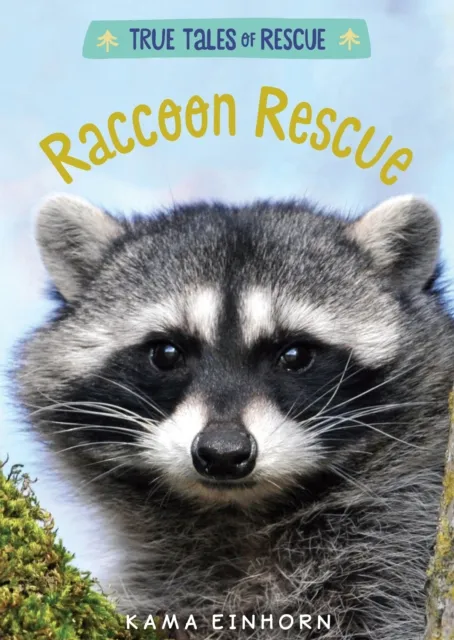 Raccoon Rescue