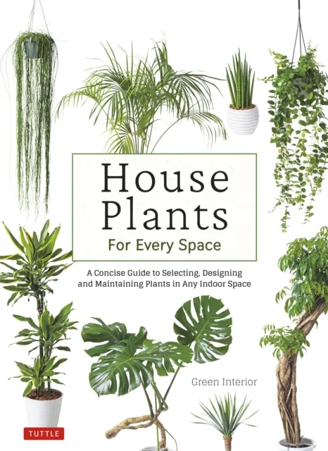 House Plants for Every Space