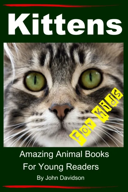 Kittens - For Kids - Amazing Animal Books For Young Readers