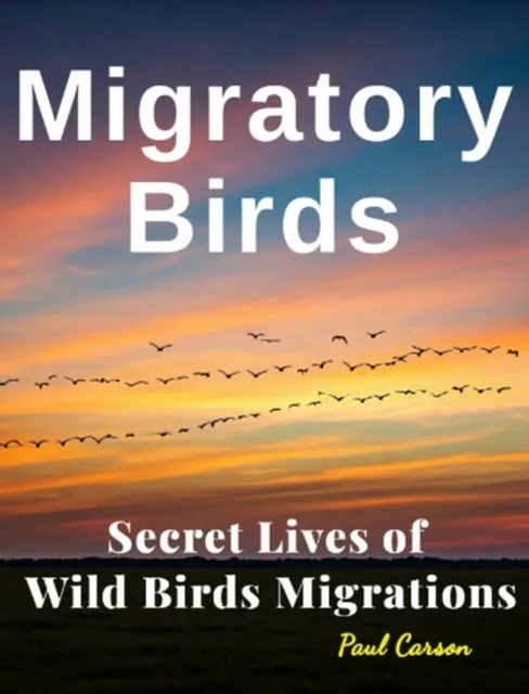Migratory Birds: Secret Lives of Wild Birds Migrations