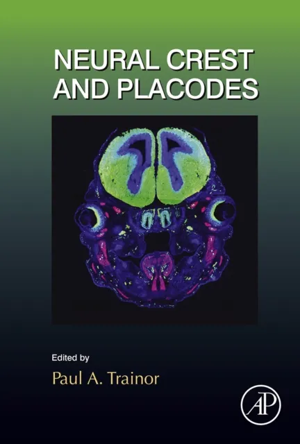 Neural Crest and Placodes