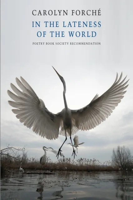 In the Lateness of the World