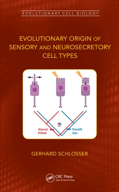 Evolutionary Origin of Sensory and Neurosecretory Cell Types