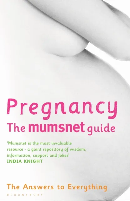 Pregnancy: The Mumsnet Guide