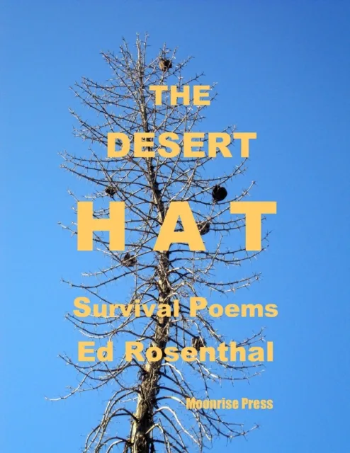 Desert Hat